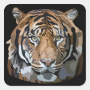Suche nach bengalisch aufkleber Bengalischer tiger
