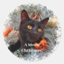 Suche nach schwarze katze aufkleber Urlaub