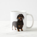 Recherche de doxie tasses Teckel