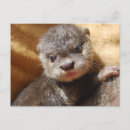 Recherche de poupée cartes postales Bébé