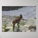Suche nach franz poster Reisen