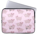 Recherche de porcin coques Porcelet