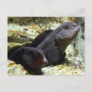 Suche nach mariner postkarten Aquarium