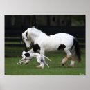 Suche nach sinti und roma vanner poster Rasse