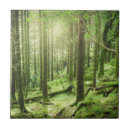 Suche nach irland fliesen Wald