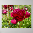 Suche nach dark poster Pink