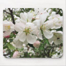 Recherche de aménagement électronique Floraison