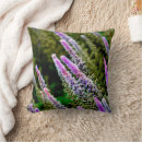 Recherche de motif pourpre photographie Nature