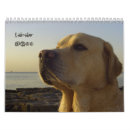 Suche nach labrador kalender Retriever
