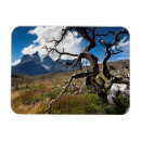 Suche nach torres del paine magnete See
