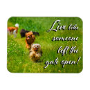 Recherche de chiot drôle magnets Amusant