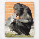 Suche nach lustiger schimpanse mousepads Tiere