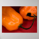 Suche nach habanero poster Scharf