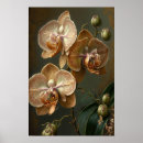 Recherche de orchidées blanches art Pour tous