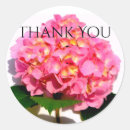 Suche nach rosa hydrangea aufkleber Elegant