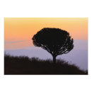 Suche nach ngorongoro krater poster Afrika