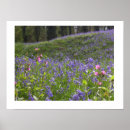 Suche nach wood poster Fotografie