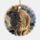 Suche nach kaninchens ornamente Hasen