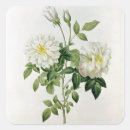 Recherche de hyacinthe autocollants Fleur