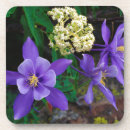 Suche nach frank untersetzer Botanisch