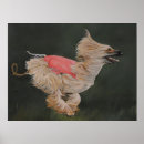 Recherche de afghan hound art Chiot