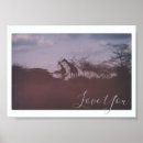 Suche nach vintage giraffen poster Savanne