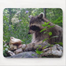 Suche nach waschbären mousepads Wild lebende tiere