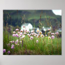 Suche nach naturbilder poster Landschaftsbilder
