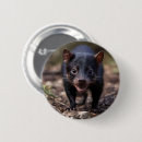 Recherche de le diable badges Faune