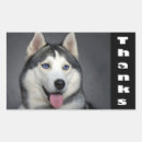 Suche nach sibirischer husky aufkleber Welpen