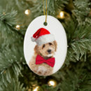 Suche nach labradoodles ornamente Weihnachten