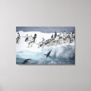 Suche nach jaynes galerie leinwandbilder Reise