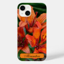Recherche de mobile photographie Photographie de la nature