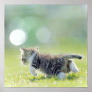 Recherche de déplacer posters Animaux domestiques