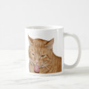 Recherche de chat tigré orange tasses Animal
