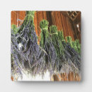 Suche nach lavendel fotoplatten Lila