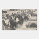 Recherche de chevaux sauvages autocollants Poney