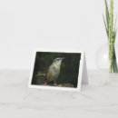 Suche nach zaunkönig karten Natur