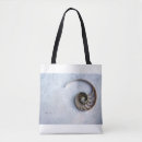 Recherche de coquille sacs Coquillage