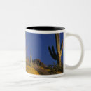Recherche de pipes tasses Cactus