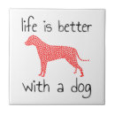 Recherche de chien carreaux Animaux domestiques