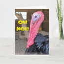 Recherche de turkey vœux cartes Photographie