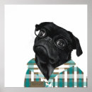 Suche nach niedlicher mops poster Niedliche möpsen
