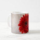 Suche nach gerbera tassen Blütenblätter