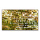 Recherche de source cartes visite Nature