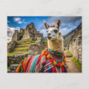 Recherche de peru cartes postales Machu picchu
