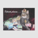 Recherche de cat tissue paper Chat