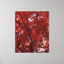Suche nach herbstbaum leinwandbilder Herbstlaub
