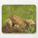 Suche nach präriehund mousepads Wildtiere