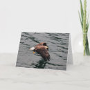 Suche nach heraus karten Wild lebende tiere